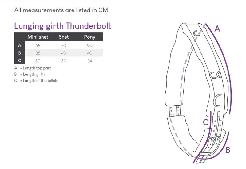 QHP Thunderbolt Rope Halter with Reins in Blue